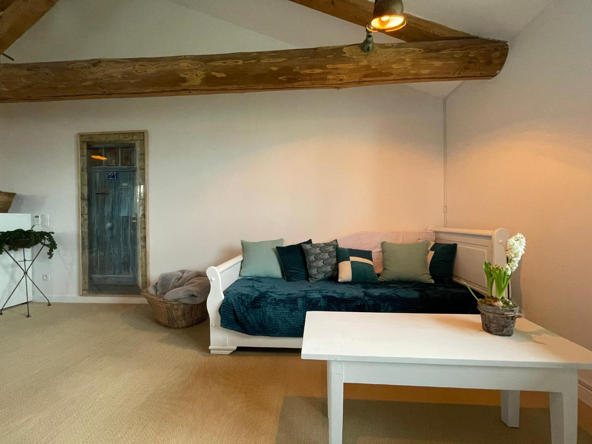 Commelle-Vernay La Grange Aux Hirondelles - Appartement Complet Et Independant מראה חיצוני תמונה